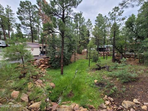 3860 S Mule Skinner Loop, Show Low, AZ 85901 photo 1