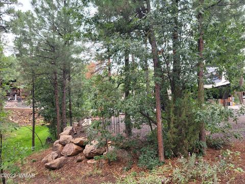 3860 S Mule Skinner Loop, Show Low, AZ 85901 photo 5