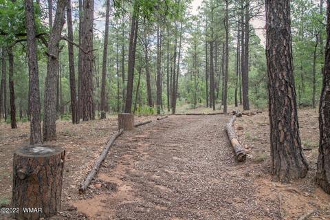 3860 S Mule Skinner Loop, Show Low, AZ 85901 photo 8