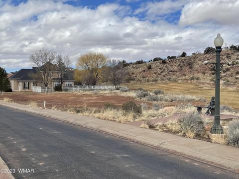395 S Frontier Pkwy, Snowflake, AZ 85937