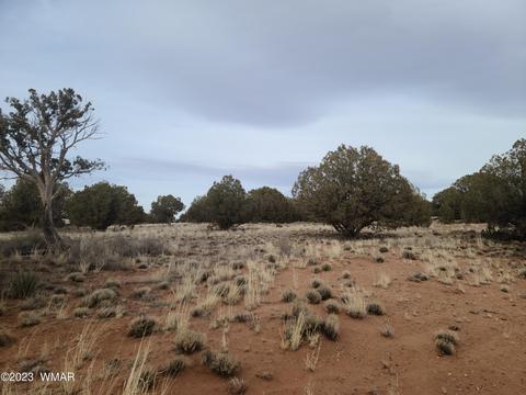 4445 E Pinto Rd, Snowflake, AZ 85937 photo 1