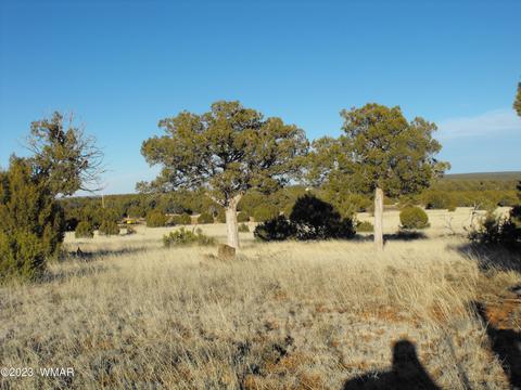 tbd Lone Pine Dm, Show Low, AZ 85901