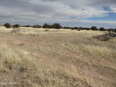 Tbd 201-09-006b, Heber, AZ 85928
