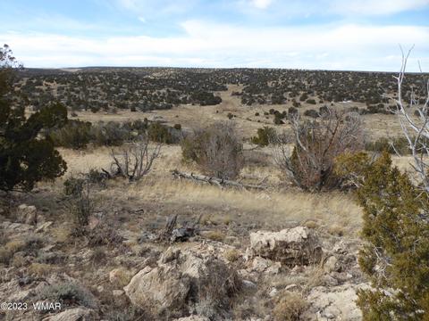 Tbd 201-09-006c, Heber, AZ 85928