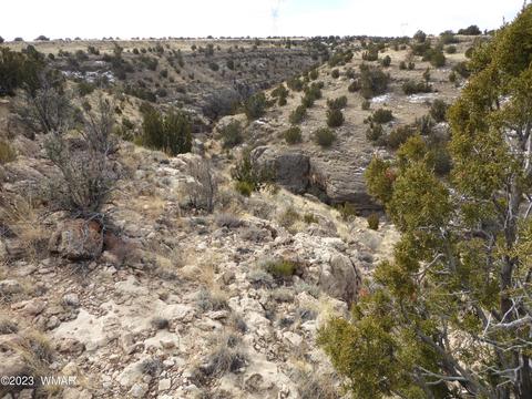 Tbd 201-09-006a, Heber, AZ 85928