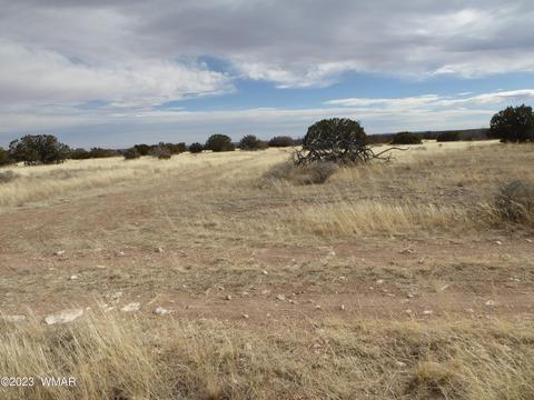 Tbd 201-09-006e, Heber, AZ 85928