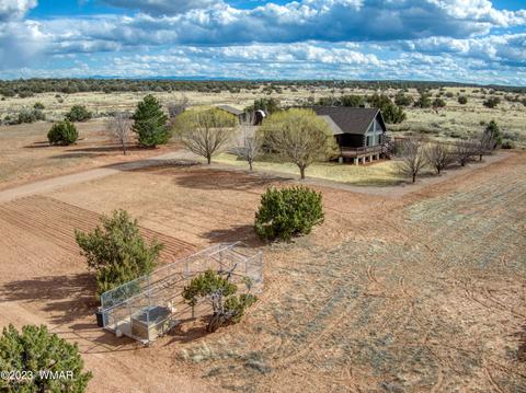 8499 Pine Ln, Snowflake, AZ 85937 photo 3