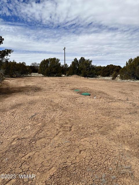 tbd Caddie Ln, Concho Valley, AZ 85924