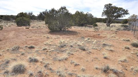 3939 Indian Bend Rd, Snowflake, AZ 85937 photo 14