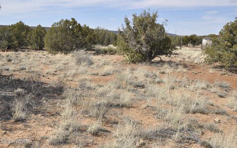 3939 Indian Bend Rd, Snowflake, AZ 85937 photo 9