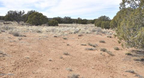 3939 Indian Bend Rd, Snowflake, AZ 85937 photo 13