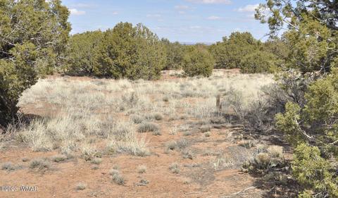 3939 Indian Bend Rd, Snowflake, AZ 85937 photo 8