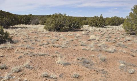 3939 Indian Bend Rd, Snowflake, AZ 85937 photo 7