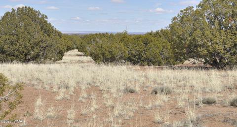 3939 Indian Bend Rd, Snowflake, AZ 85937 photo 1
