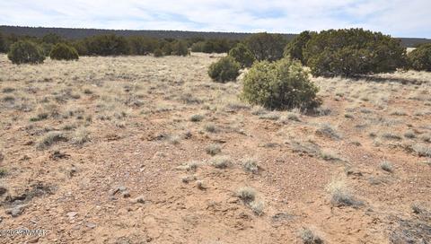 3939 Indian Bend Rd, Snowflake, AZ 85937 photo 6