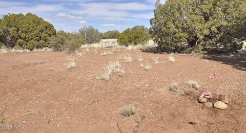 3939 Indian Bend Rd, Snowflake, AZ 85937 photo 4