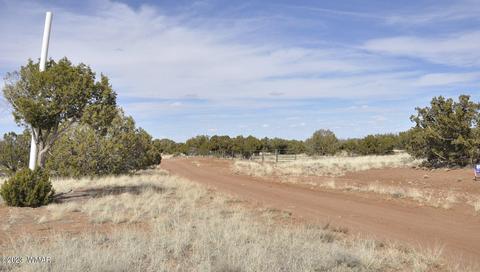 3939 Indian Bend Rd, Snowflake, AZ 85937 photo 15