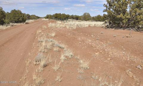 3939 Indian Bend Rd, Snowflake, AZ 85937 photo 2