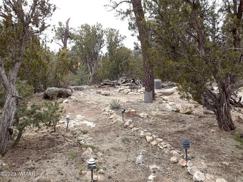 3157 Trails End, Overgaard, AZ 85933 photo 9