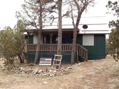 3157 Trails End, Overgaard, AZ 85933 photo 2