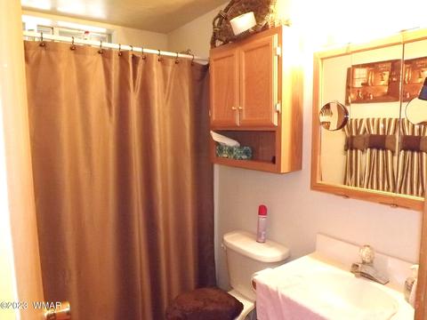 3157 Trails End, Overgaard, AZ 85933 photo 26