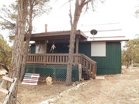 3157 Trails End, Overgaard, AZ 85933 photo 3
