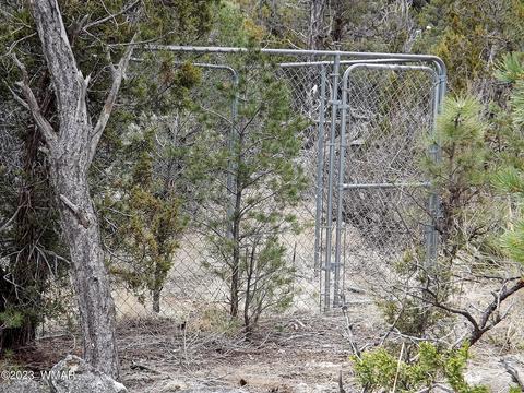 3157 Trails End, Overgaard, AZ 85933 photo 15