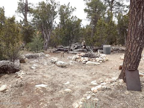 3157 Trails End, Overgaard, AZ 85933 photo 11