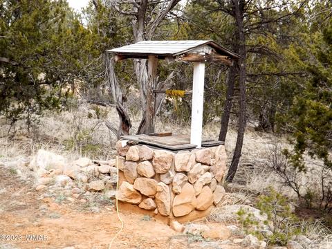 3157 Trails End, Overgaard, AZ 85933 photo 12