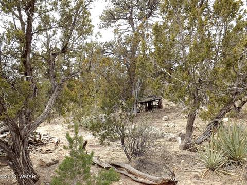 3157 Trails End, Overgaard, AZ 85933 photo 10