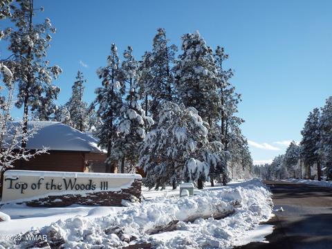 2489 S Timber Pine Ln, Pinetop, AZ 85935