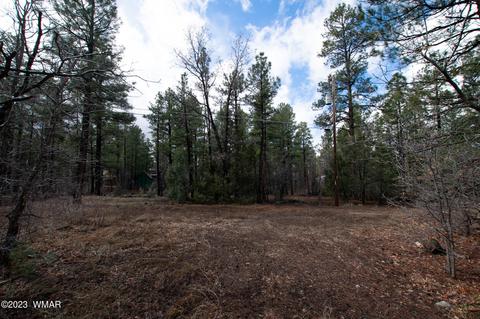 tbd w yeager lane LOT 33, Lakeside, AZ 85929