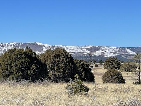 51 N2003, Nutrioso, AZ 85932