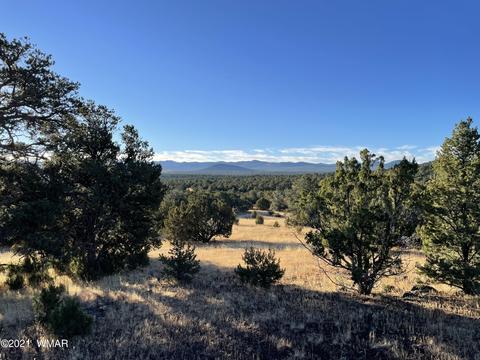 lot28 Acr N3208 #2, Vernon, AZ 85940