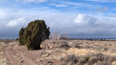 40 Acres At 4th N And 32nd W, Saint Johns, AZ 85936