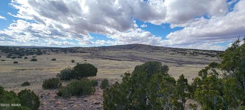 Tbd Cr N5337, Concho, AZ 85924