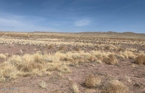 Tbd Wild Horse, Holbrook, AZ 86025
