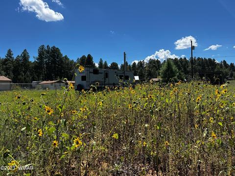 2747 Oak Tree Dr, Show Low, AZ 85901