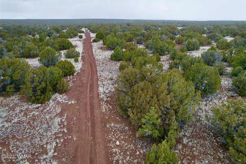 84 88 County Rd 8072, Concho, AZ 85924