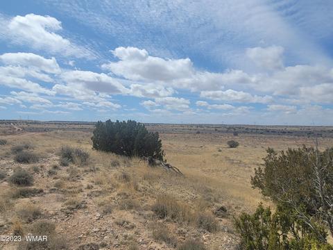 5446 Valley Rd, Snowflake, AZ 85937