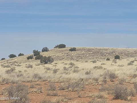 5446 Valley Rd, Snowflake, AZ 85937 photo 13
