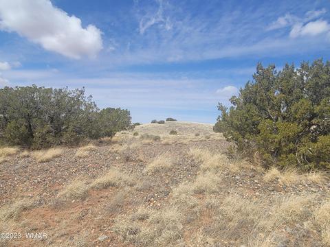5446 Valley Rd, Snowflake, AZ 85937 photo 9