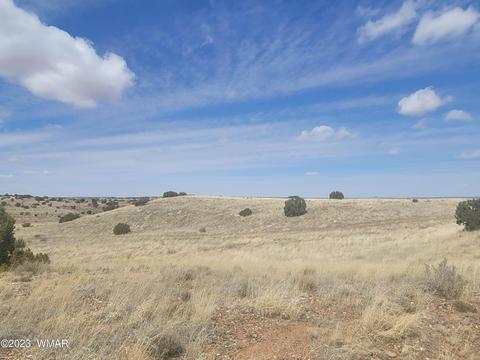 5446 Valley Rd, Snowflake, AZ 85937 photo 6