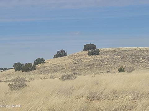 5446 Valley Rd, Snowflake, AZ 85937 photo 2