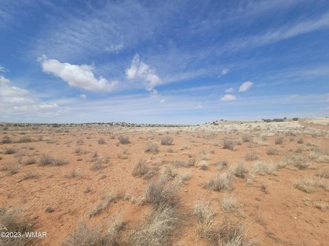 5446 Valley Rd, Snowflake, AZ 85937 photo 11