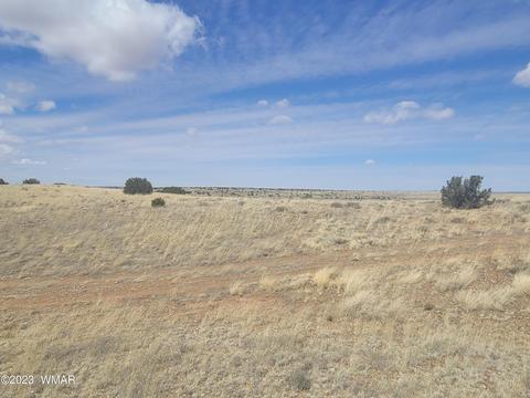 5446 Valley Rd, Snowflake, AZ 85937 photo 4