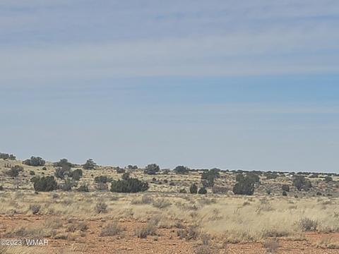 5446 Valley Rd, Snowflake, AZ 85937 photo 14