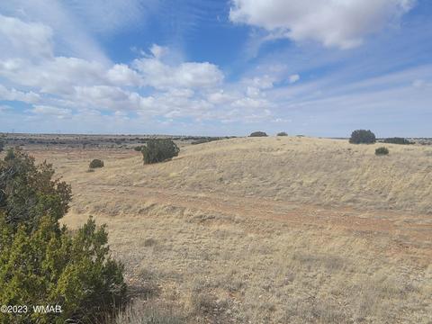 5446 Valley Rd, Snowflake, AZ 85937 photo 3