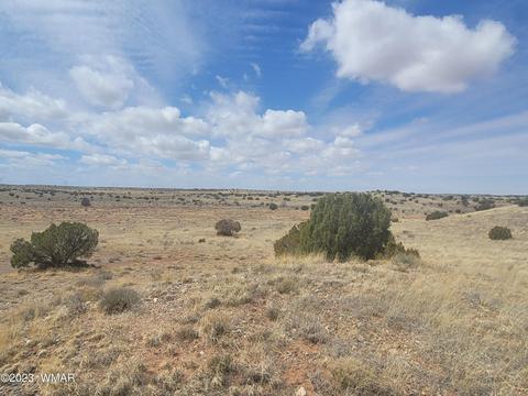 5446 Valley Rd, Snowflake, AZ 85937 photo 7