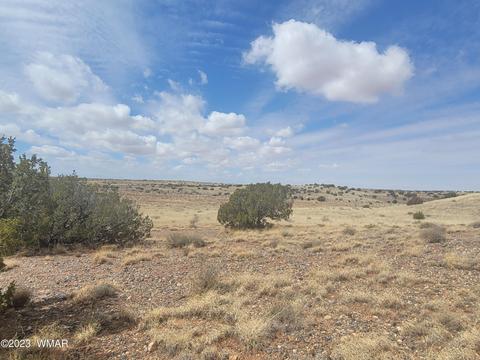 5446 Valley Rd, Snowflake, AZ 85937 photo 8